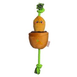 Extra Product Image